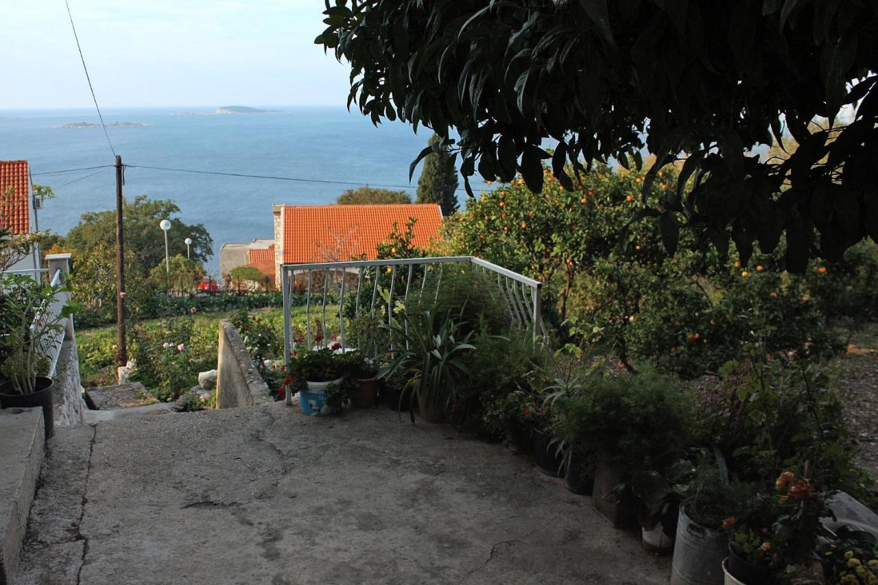 Apartments With A Parking Space Plat, Dubrovnik - 4776 Mlini Exterior foto